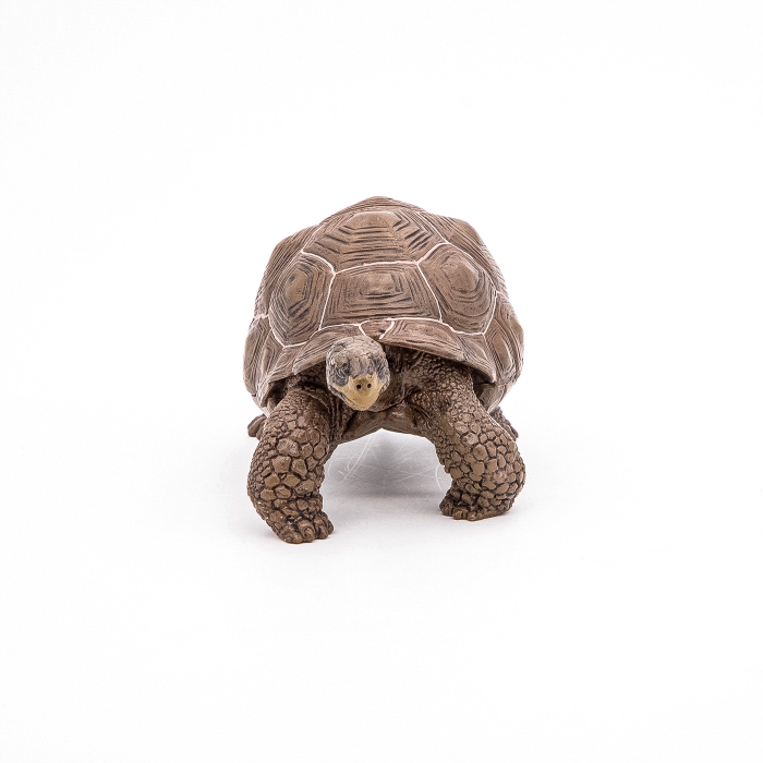 PAPO FIGURINA TESTOASA GALAPAGOS [6]