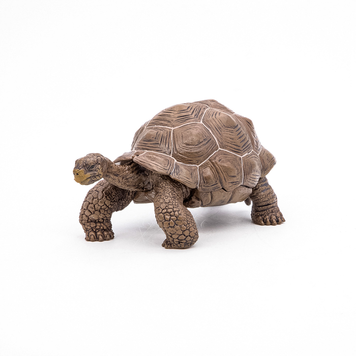 PAPO FIGURINA TESTOASA GALAPAGOS [7]