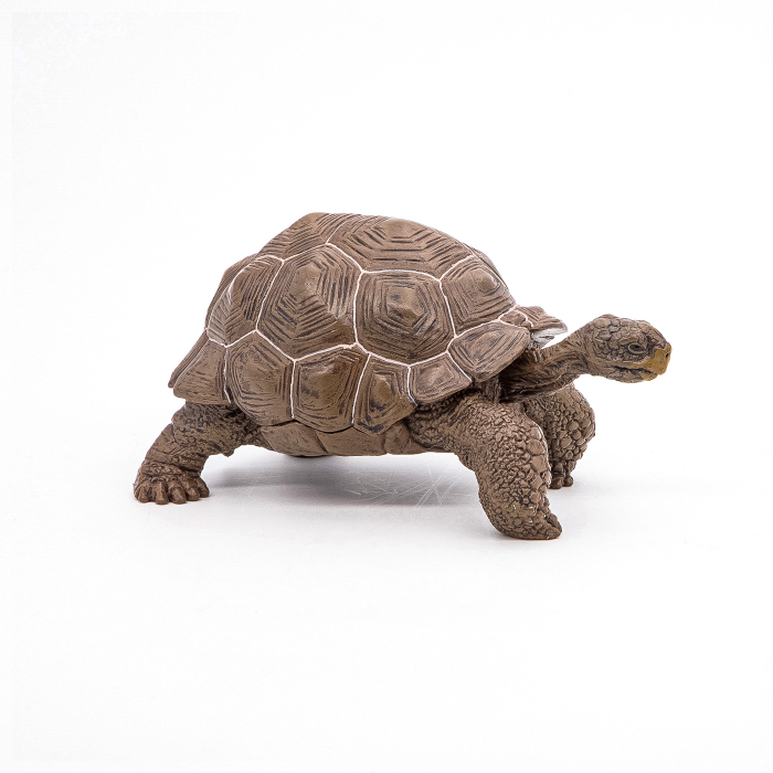 PAPO FIGURINA TESTOASA GALAPAGOS [4]