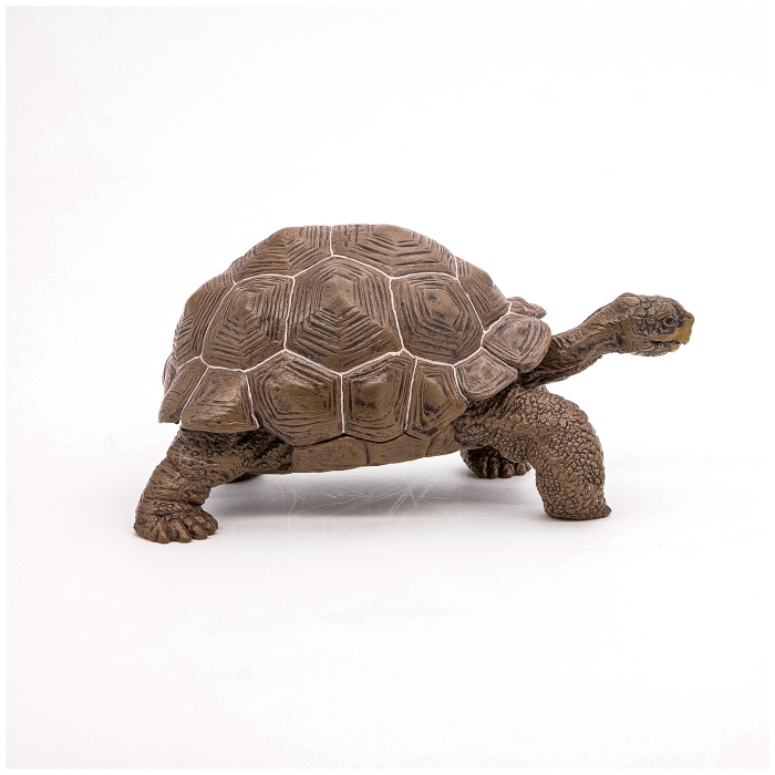 PAPO FIGURINA TESTOASA GALAPAGOS [2]