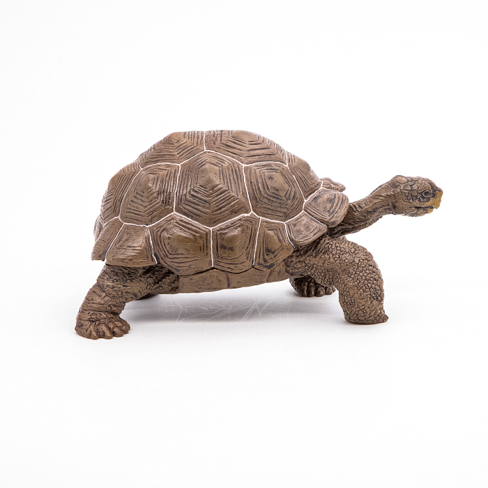 PAPO FIGURINA TESTOASA GALAPAGOS [3]