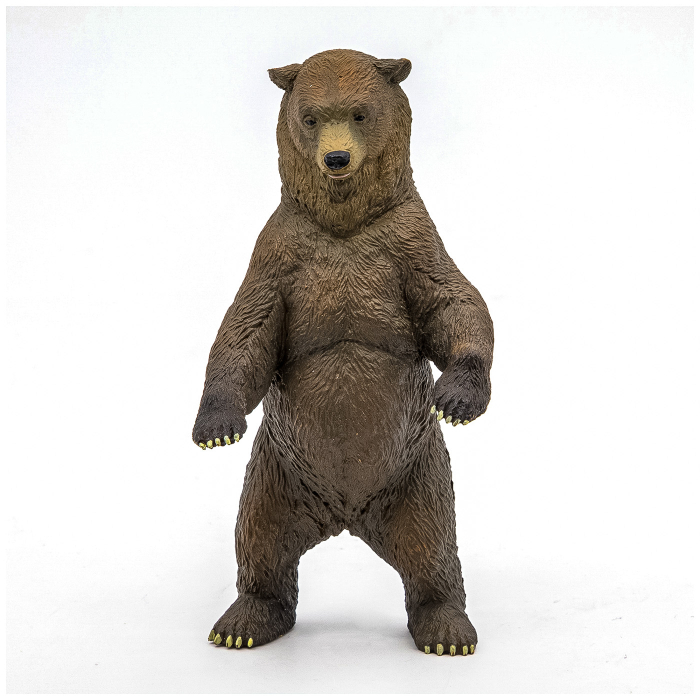 PAPO FIGURINA URS GRIZZLY [3]