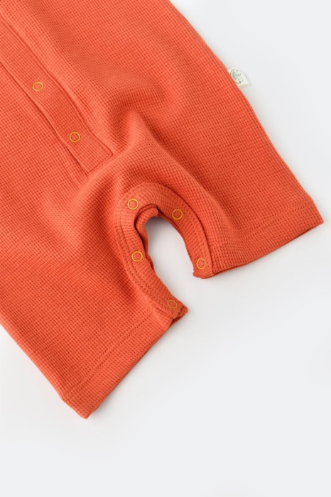 Salopeta cu pantaloni scurti - 100% bumbac organic - Scortisoara, BabyCosy [10]