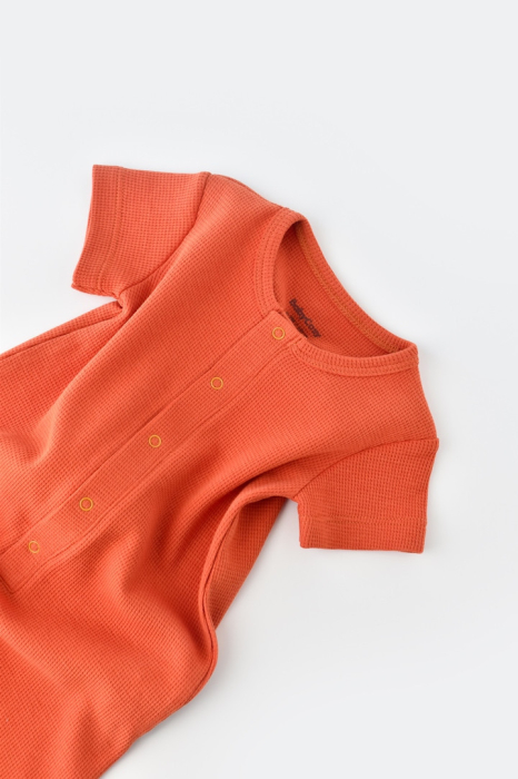 Salopeta cu pantaloni scurti - 100% bumbac organic - Scortisoara, BabyCosy [3]