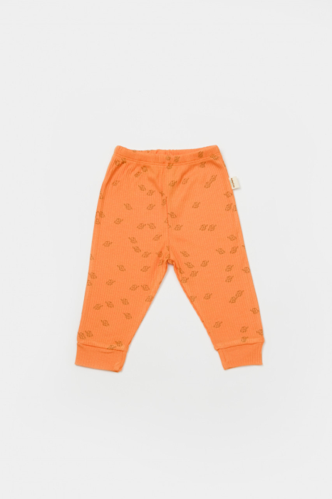 Set 2 pantalonasi Printed, BabyCosy, 50% modal+50% bumbac, Stone/Apricot [4]