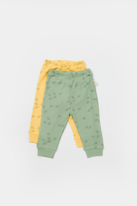 Set 2 pantalonasi Printed, BabyCosy, 50% modal+50% bumbac, Verde/Lamaie [3]