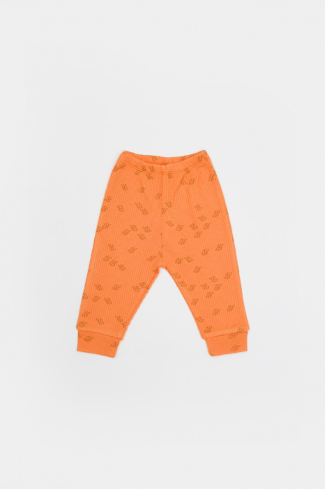 Set 3 piese:bluza, pantaloni si caciulita Printed, BabyCosy, 50% modal+50% bumbac, Apricot [3]