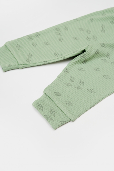 Set 3 piese:bluza, pantaloni si caciulita Printed, BabyCosy, 50% modal+50% bumbac, Verde [6]
