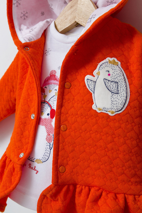 Set 3 piese: pantaloni, bluzita si hainuta cu gluga eleganta pentru bebelusi Crazy Penguins, Tongs baby [3]