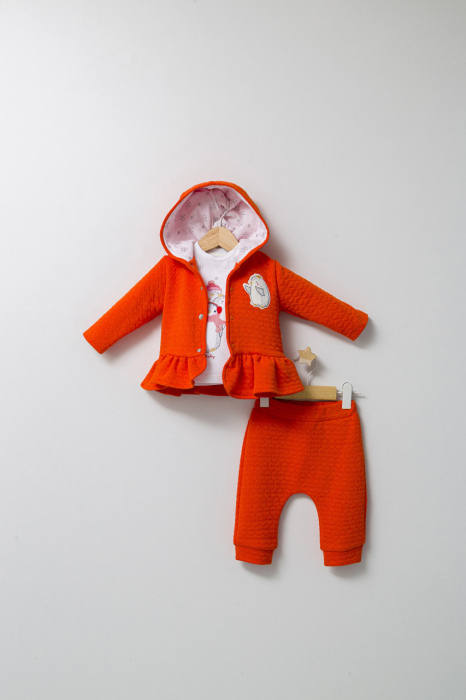 Set 3 piese: pantaloni, bluzita si hainuta cu gluga eleganta pentru bebelusi Crazy Penguins, Tongs baby [2]