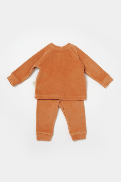 Set bluzita si pantaloni Elefant, 80%bumbac organic si 20% poliester - Caramiziu, BabyCosy [3]
