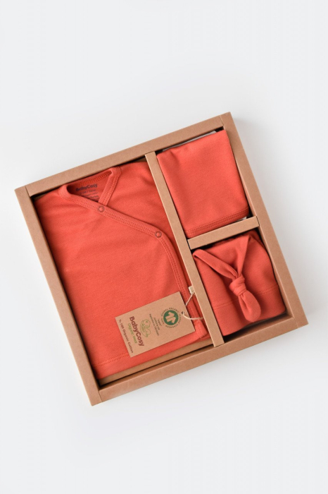 Set de 5 piese pentru nou nascut - 100% bumbac organic - Scortisoara, BabyCosy [7]