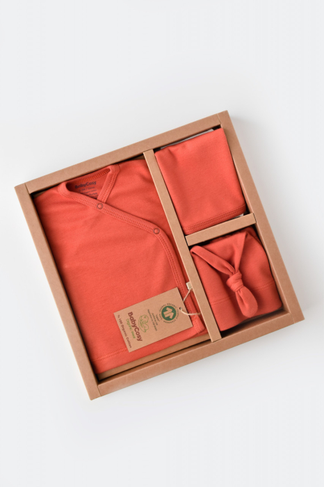 Set de 5 piese pentru nou nascut - 100% bumbac organic - Scortisoara, BabyCosy [2]