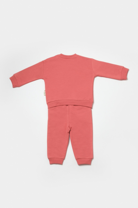Set hanorac si pantaloni, Two thread, 100%bumbac organic - Rose, BabyCosy [2]