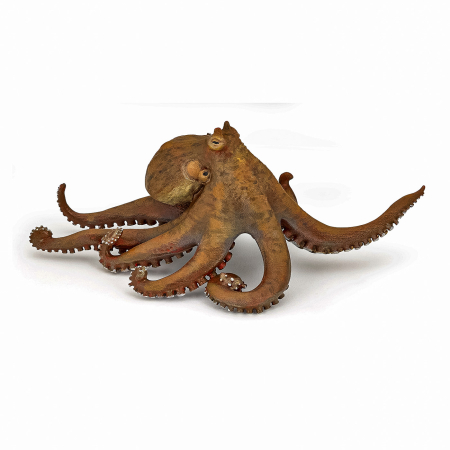 Jucarii - PAPO FIGURINA CARACATITA