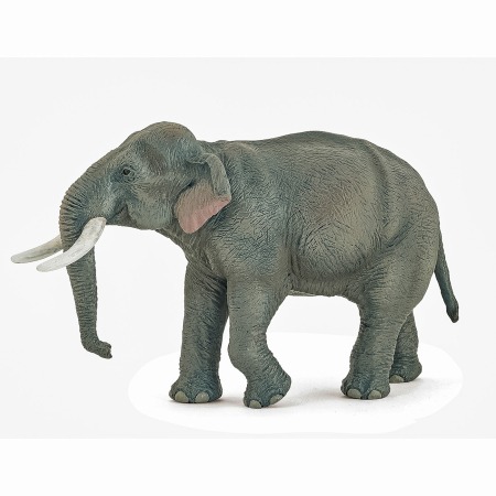 Jucarii - PAPO FIGURINA ELEFANT ASIATIC