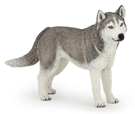 Jucarii - PAPO FIGURINA HUSKY SIBERIAN