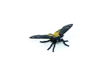 Jucarii - PAPO FIGURINA MOLIE