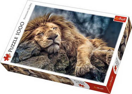 Puzzle - PUZZLE TREFL 1000 LEU DORMIND