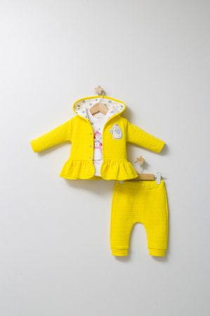 Seturi și compleuri copii - Set 3 piese: pantaloni, bluzita si hainuta cu gluga eleganta pentru bebelusi Crazy Penguins, Tongs baby