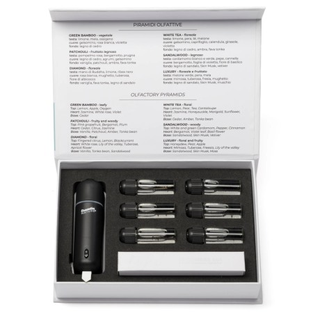 Difuzor ultrasonic pentru masina [4]