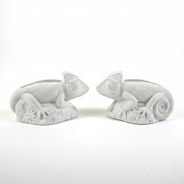 Suport-creioane-din-ipsos-Cameleon.jpg [2]