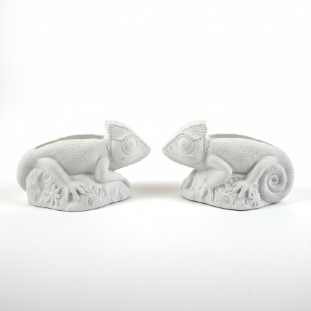 Suport-creioane-din-ipsos-Cameleon.jpg [1]