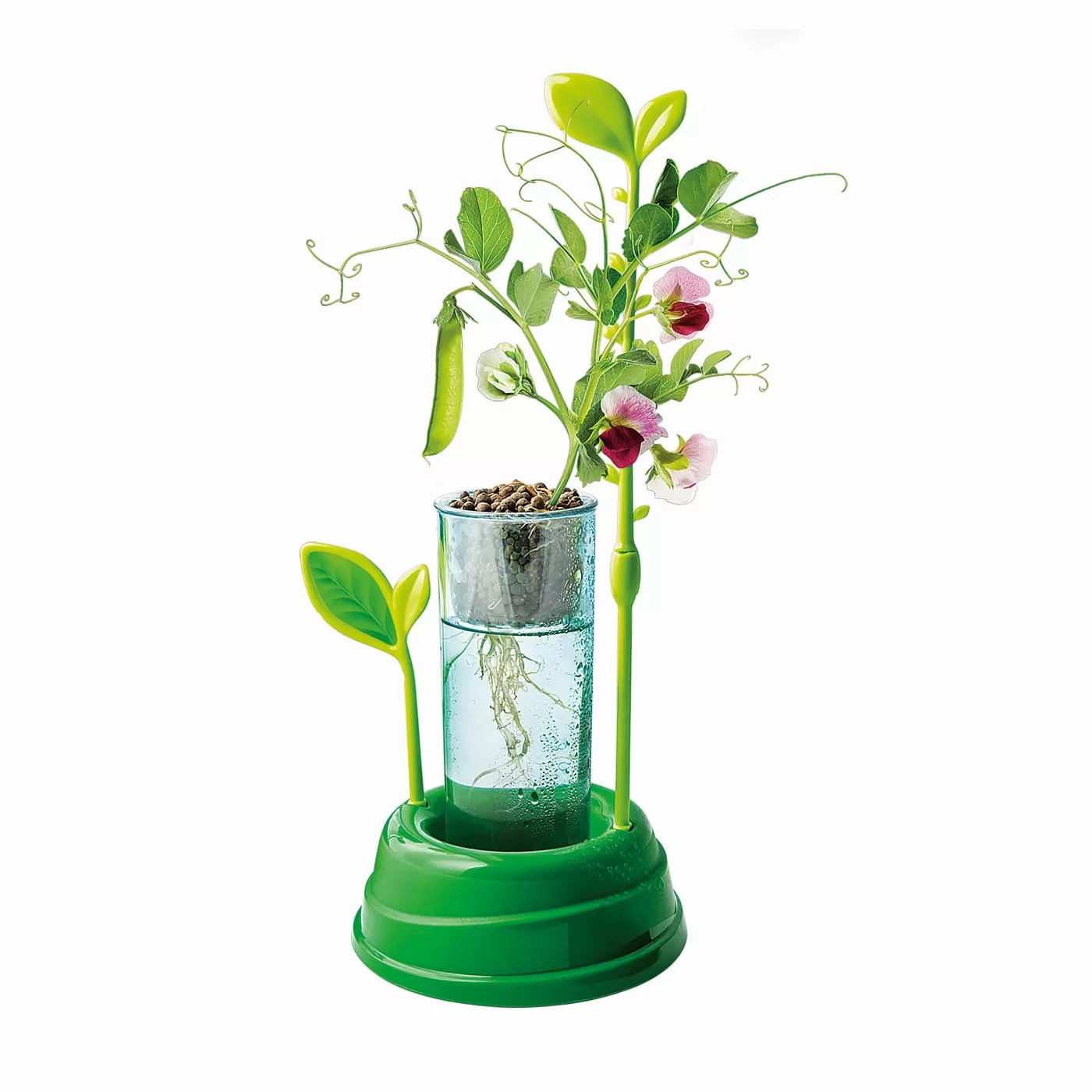 Gradina Mea Stiinta Si Joaca [4]