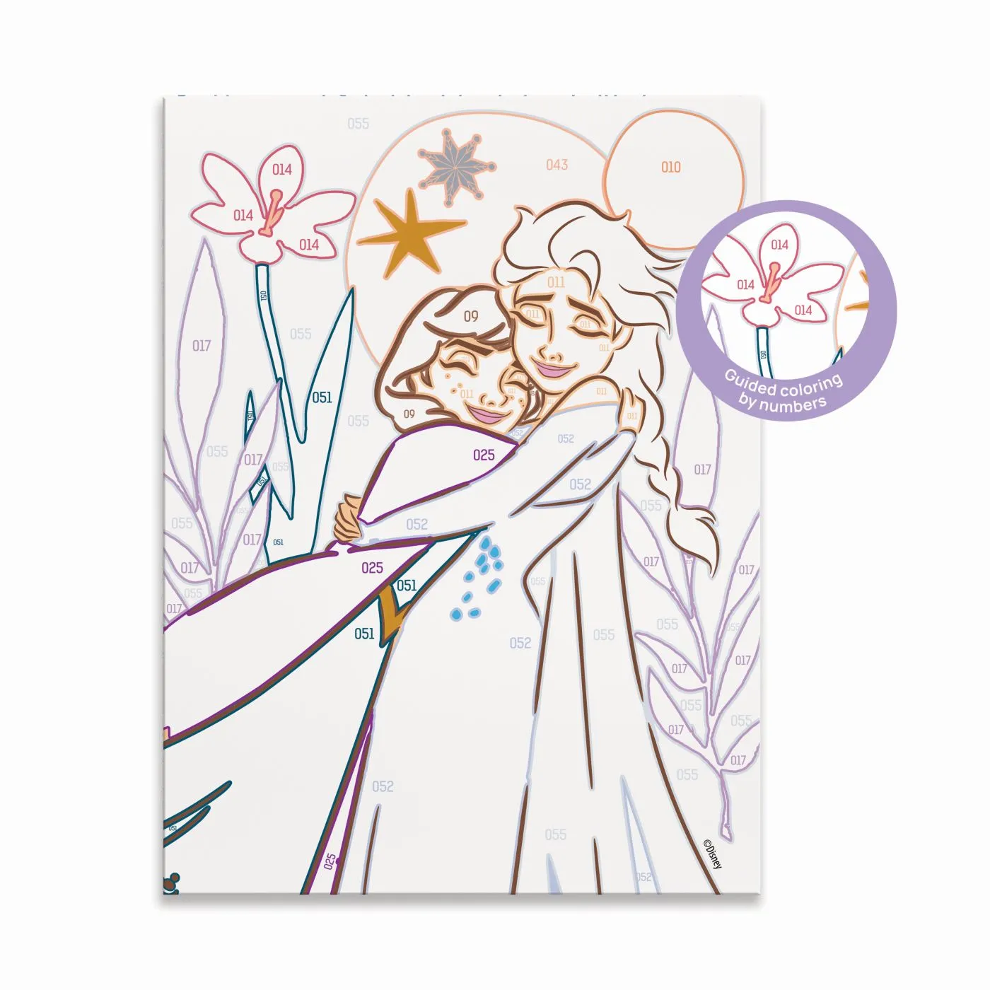 Picteaza si Inrameaza Disney Frozen [6]