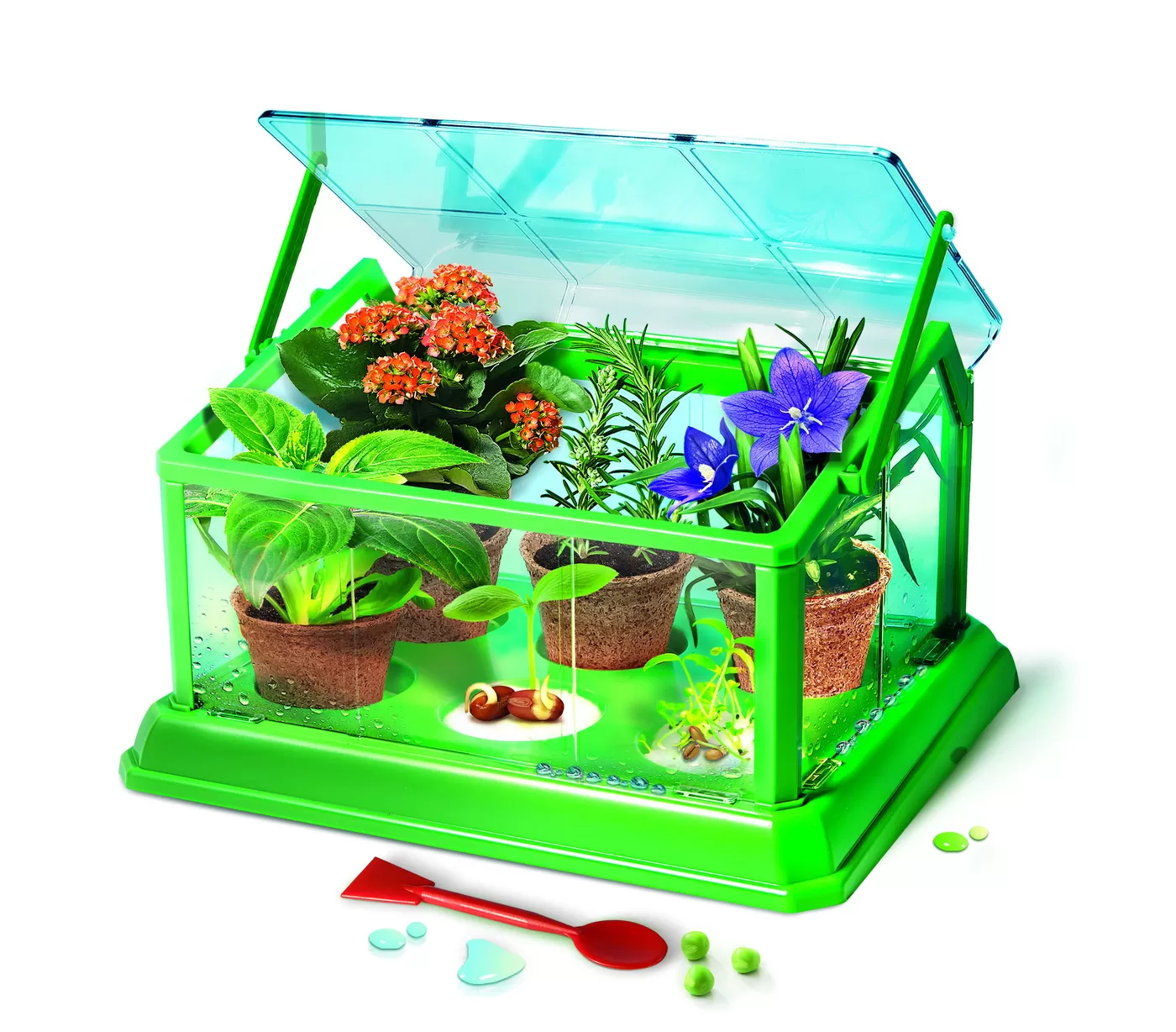 Prima Sera Biologica Stiinta Si Joaca [2]