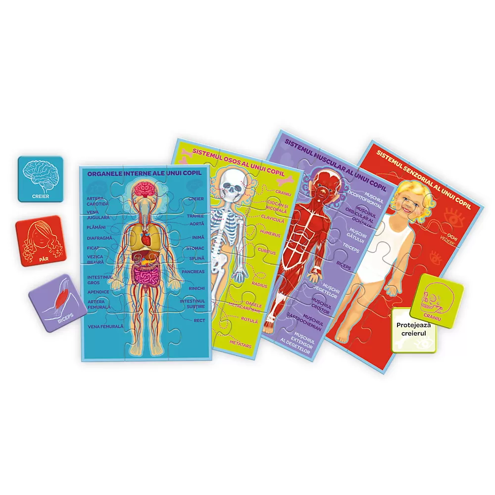 Joc Corpul Meu Micul Explorator [1]