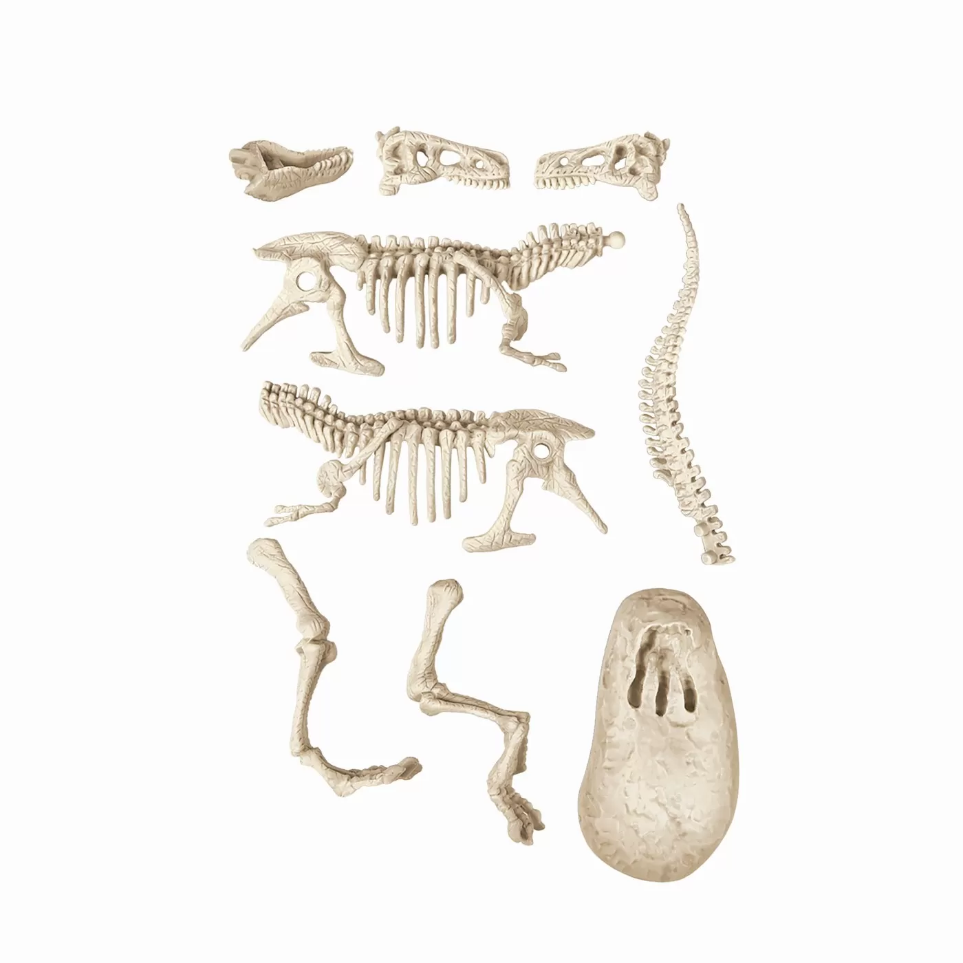 Descopera Dinozaurul T-REX Fluo Stiinta Si Joaca [2]