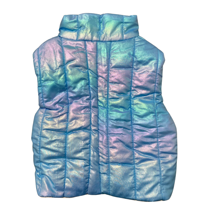 Vesta copii groasă albastru holografic cu fermoar [3]