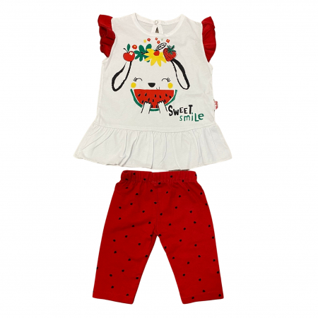 Bebeluși fete - SET DE 2 PIESE CU TRICOU SI PANTALONI