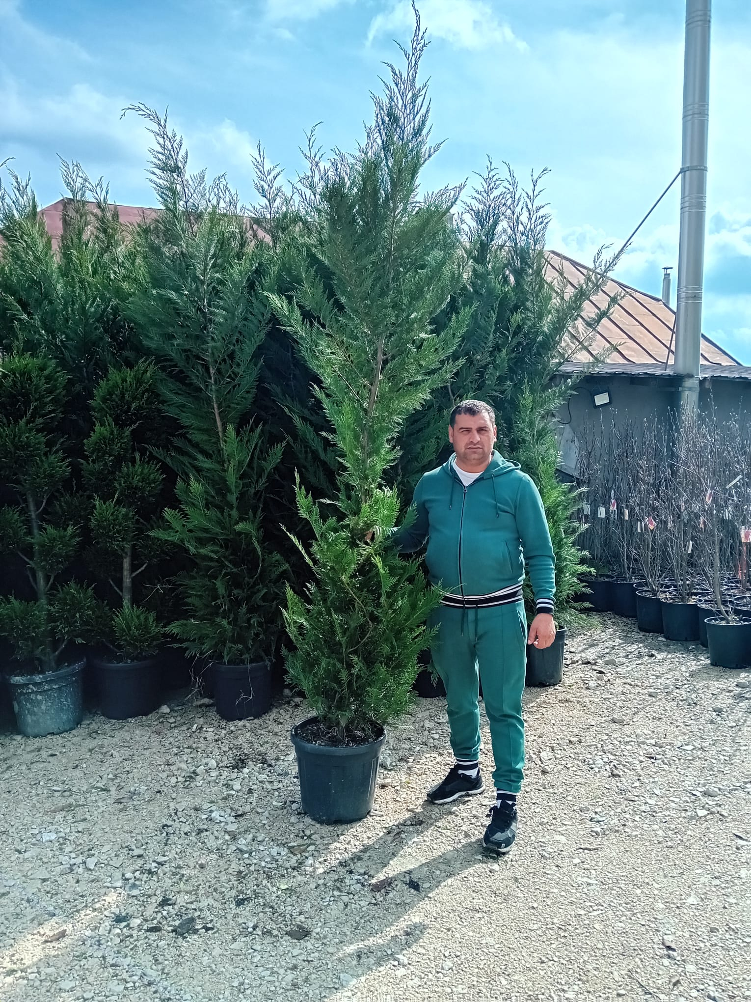 stefan. gheorghe