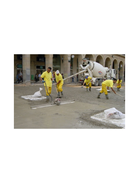 RIGLA VIBRANTA CU MOTOR TERMIC DUBLU SENS 3M QZH 3000 ENAR [3]