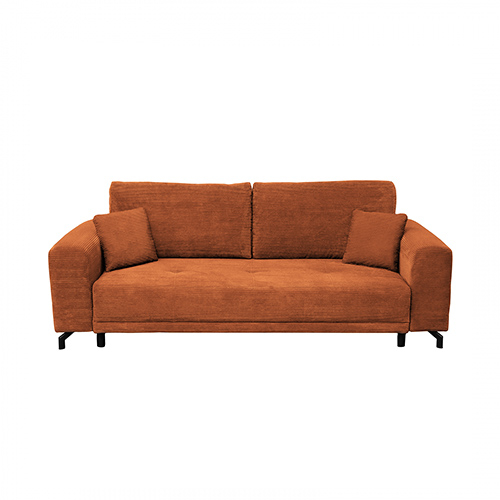 Canapele Moderne