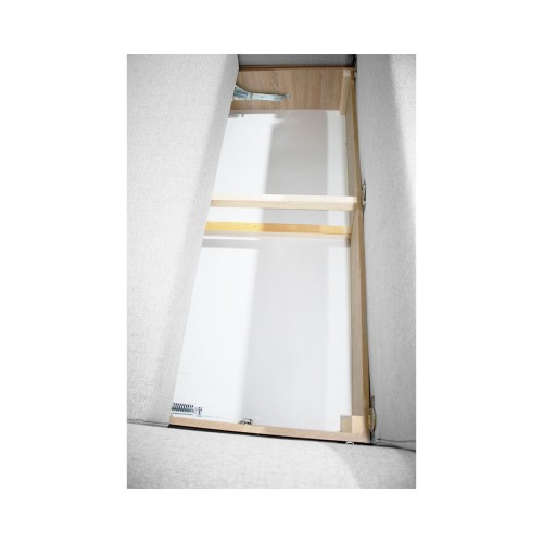 Coltar Lindo N02 [4]