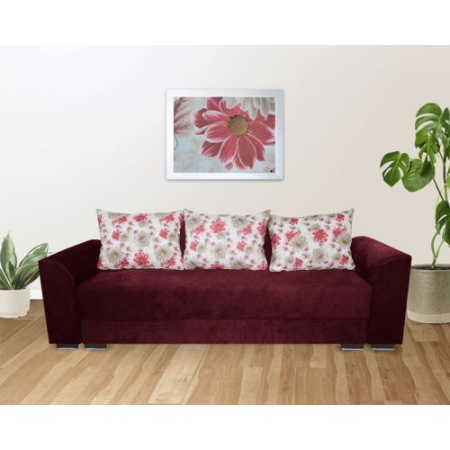 Canapele si Coltare - Canapea Lindo D09