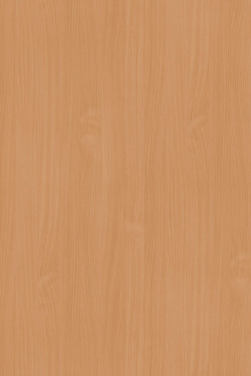 Kronospan PAL - Laminated Chipboard 0381 PR Beech (16) 2800x2070 (KU)