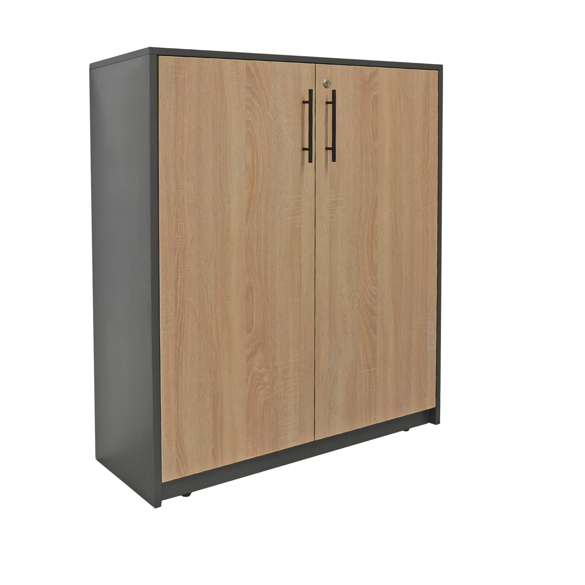 Product Catalog - Office Cabinet 2 Doors