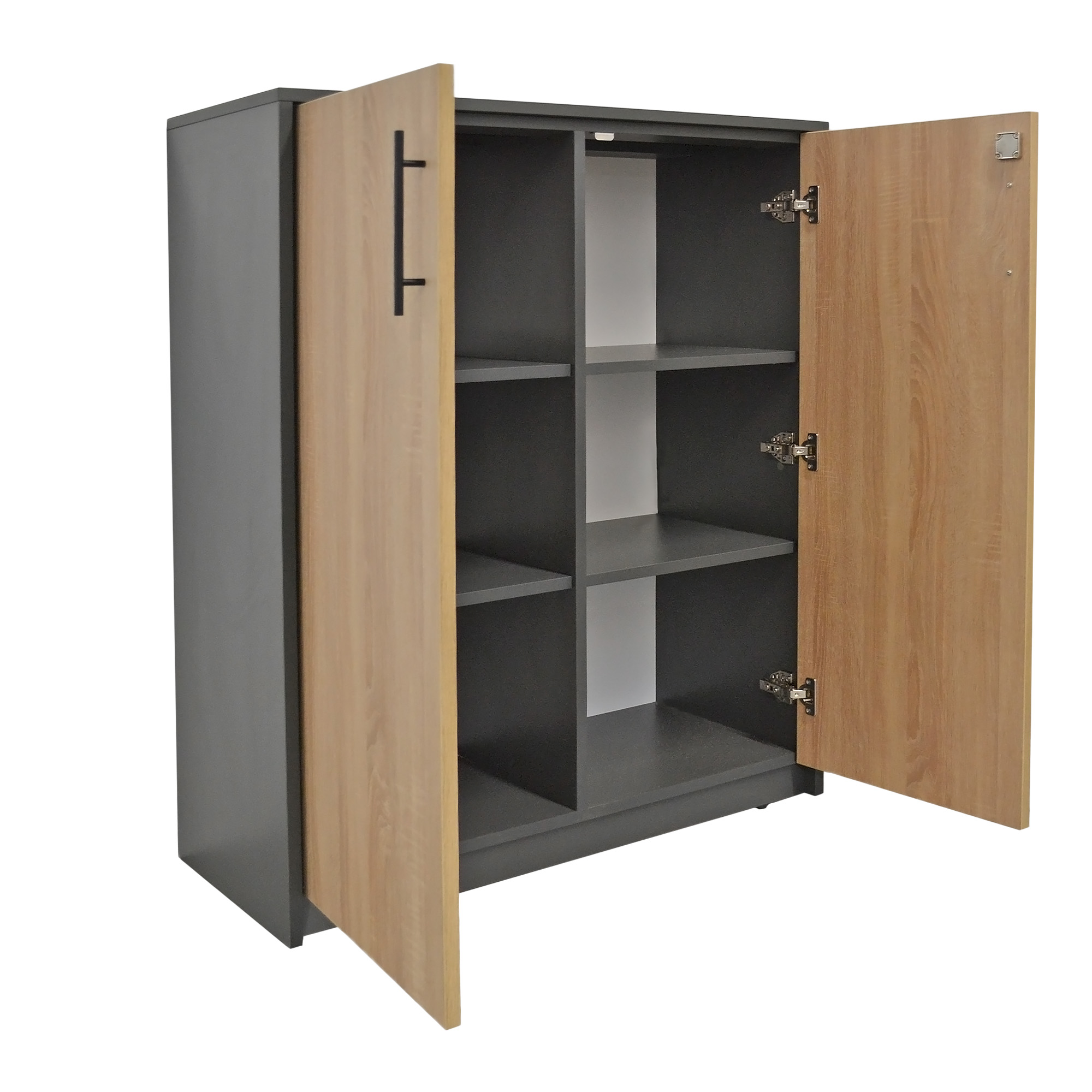 Office Cabinet 2 Doors [2]