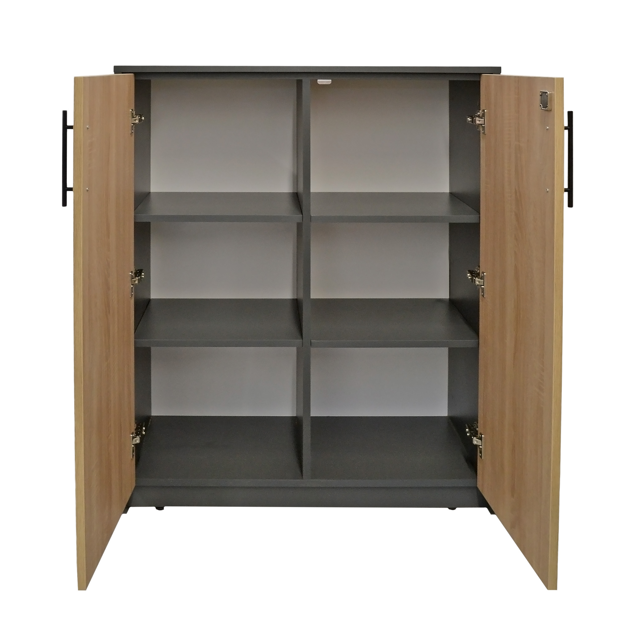 Office Cabinet 2 Doors [4]