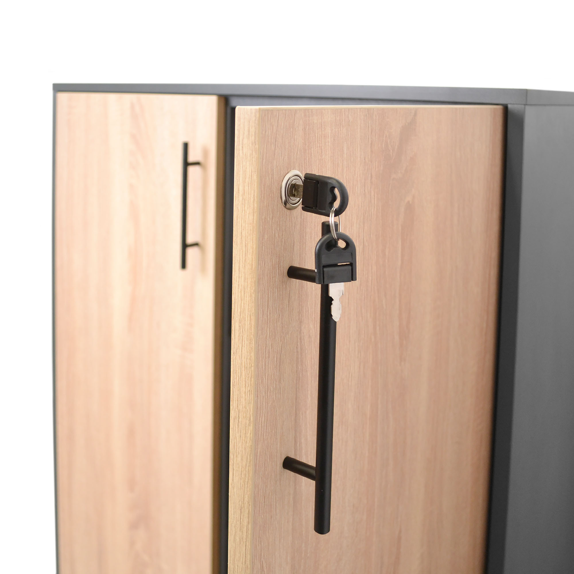 Office Cabinet 2 Doors [3]