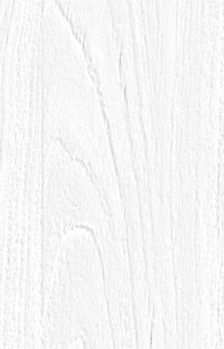 Smart PAL - PAL SM'art IT3096 ITALIA BIANCO