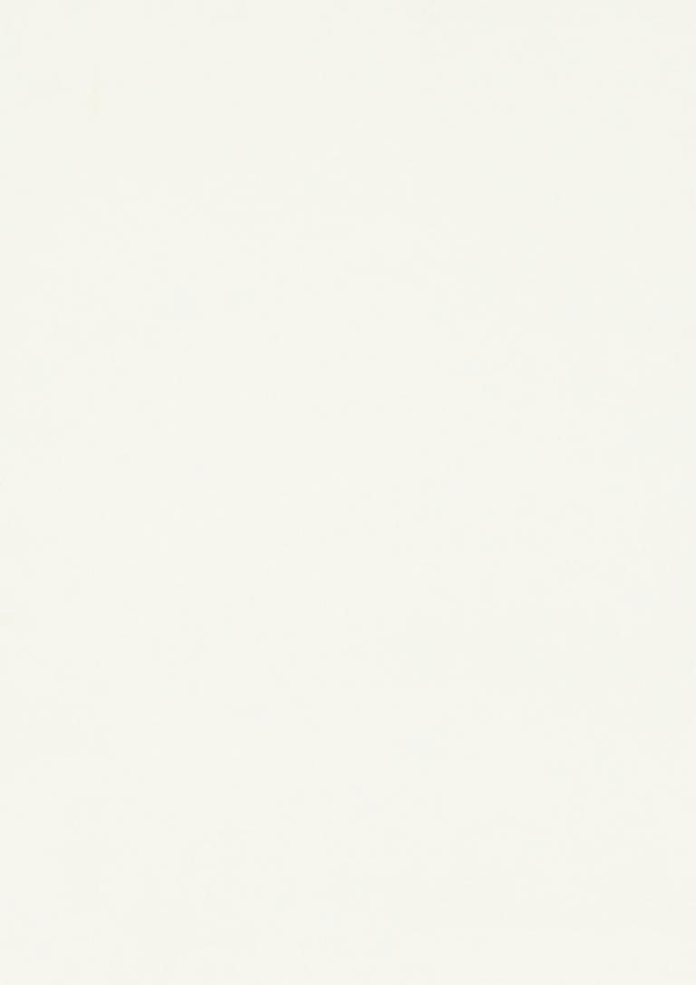 EGGER PAL - W960 SM Classic White 2800x2070x18 (EG) Melamine chipboard