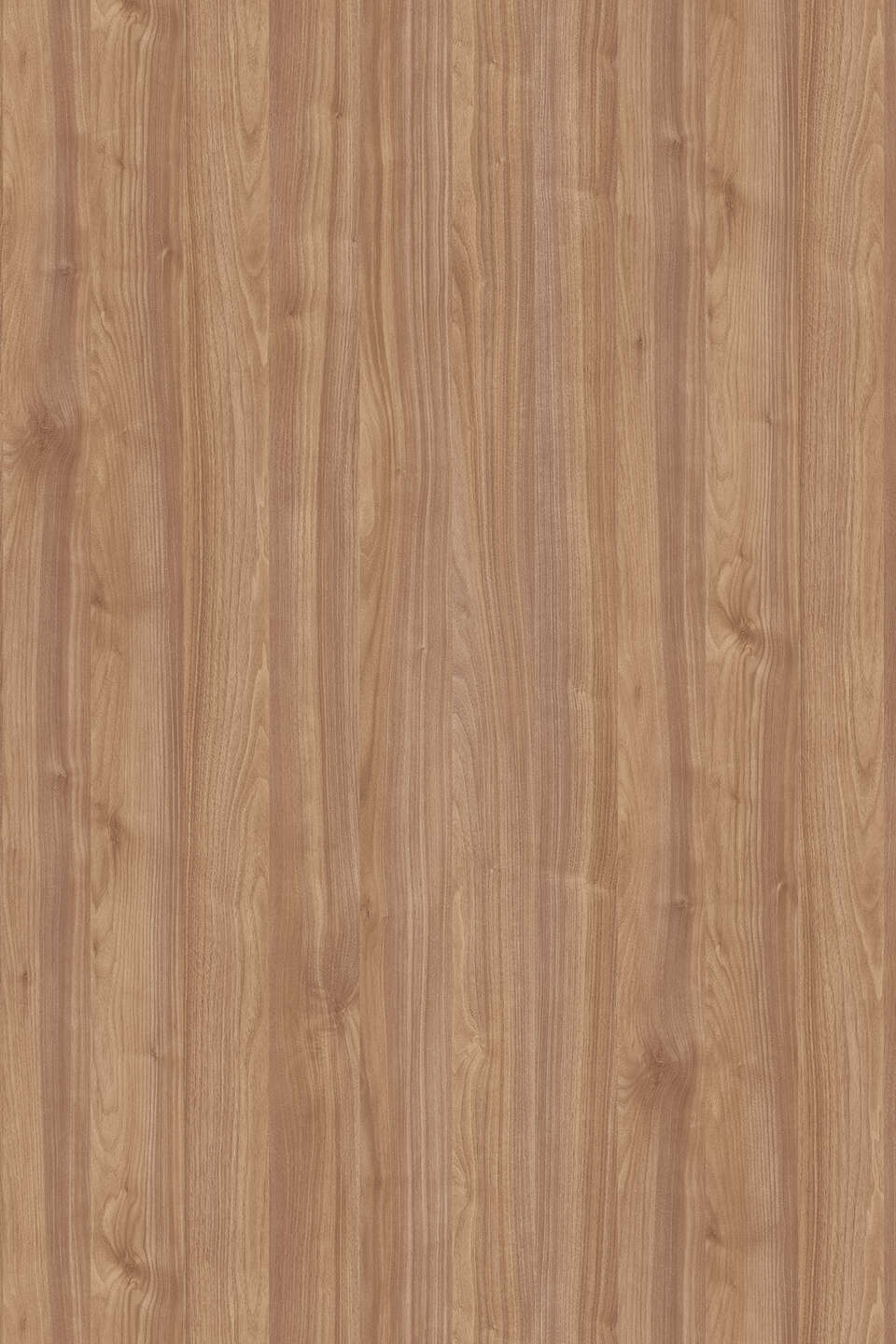 Kronospan PAL - Ламинированная ДСП K008 PW Орех Light Select (18) 2800x2070 (KU)