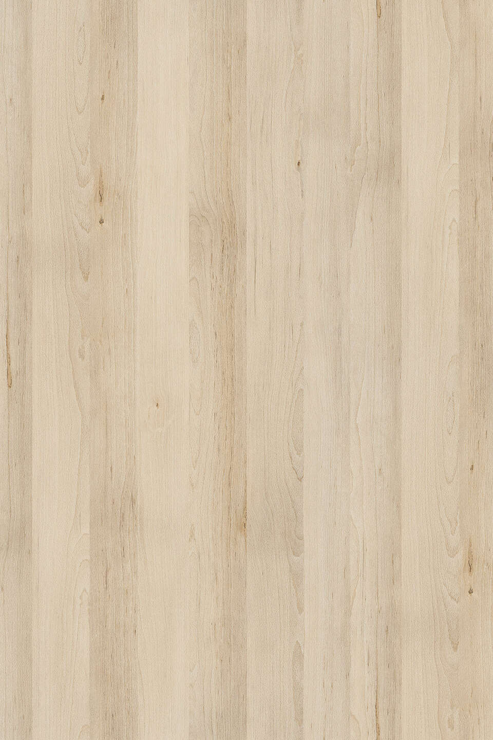 Kronospan PAL - Pal melaminat K012 SU Fag Artizan Beech (18) 2800x2070 (KU)