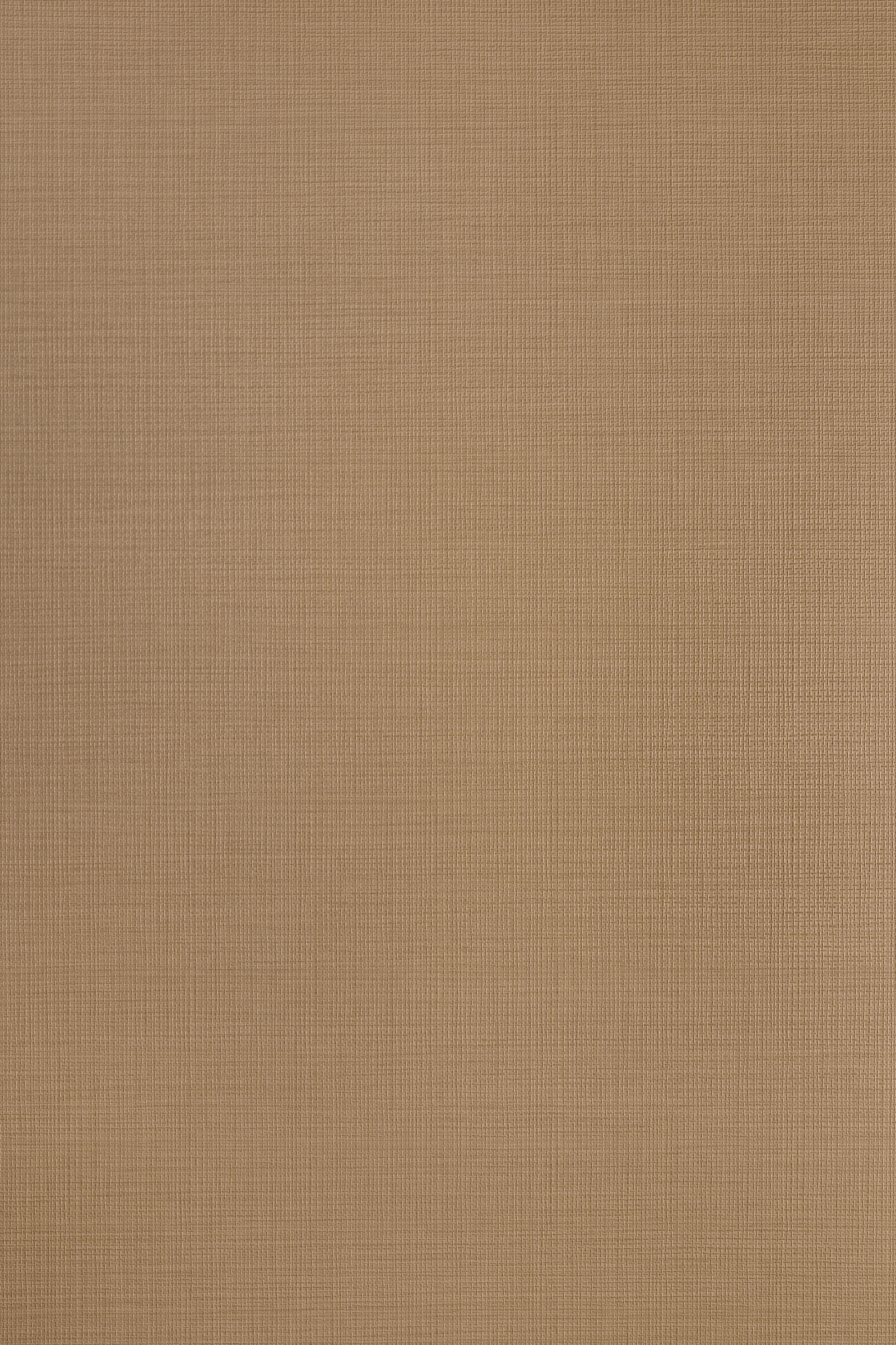 Smart PAL - PAL SM'art RE02 REVERSO MERIGGIO
