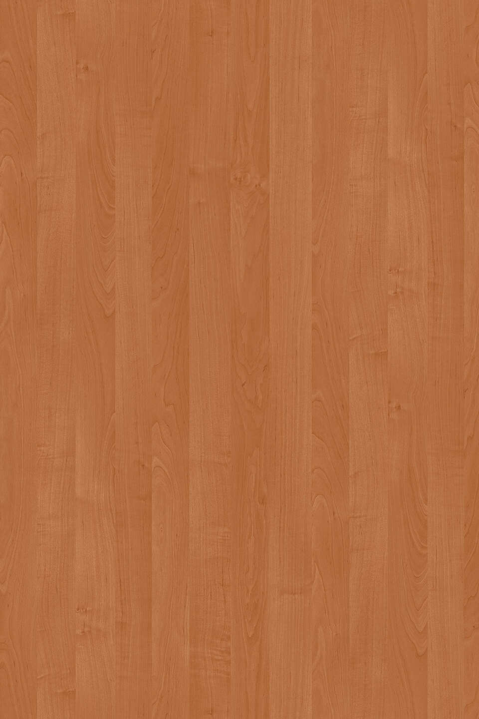 Kronospan PAL - Laminated Chipboard 1912 BS Alder (18) 2800x2070 (KU)